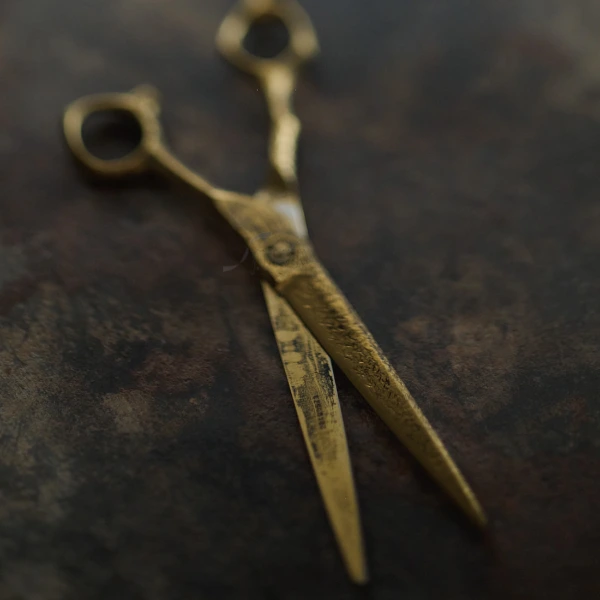 Schorem Master Brutalist Scissors - Image 7
